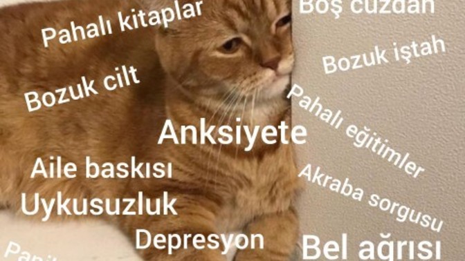 Can sıkıntısı ve moral bozukluğu için öneriniz var mı?