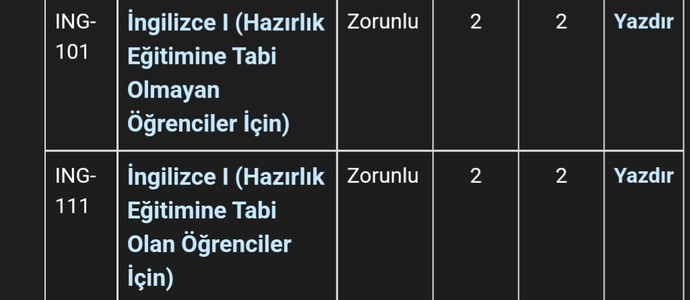 İngilizce muafiyet sınavından geçenler ders seçimlerinde İngilizce dersini seçiyor mu?