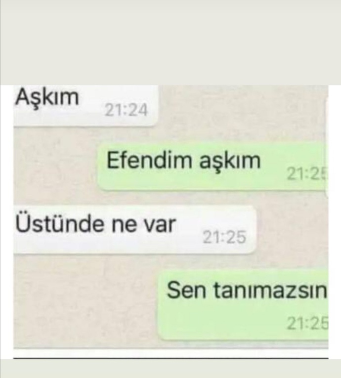 Gün içinde sevgilinizi eşinizi tefonla mesajla iitaciz etmeyi severmisiniz?