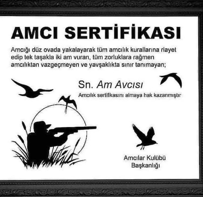 Seni sadece vajinan için seviyorum diyen erkeğe ne cevap verilir?
