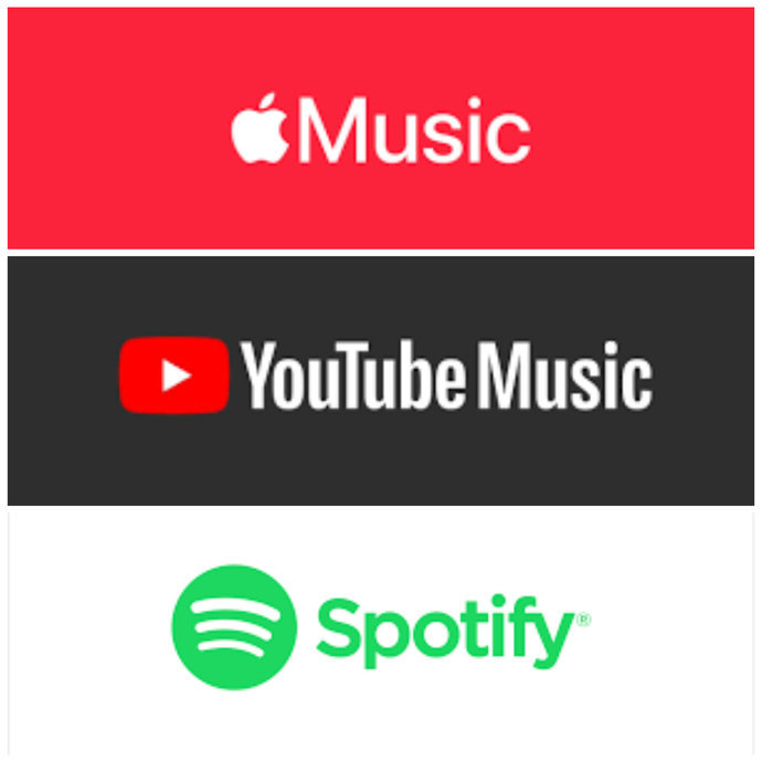 Severek kullandığınız müzik platformu hangisi?
