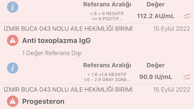 Sizce hangisine gitmeliyim ve sorun tam olarak ne?
