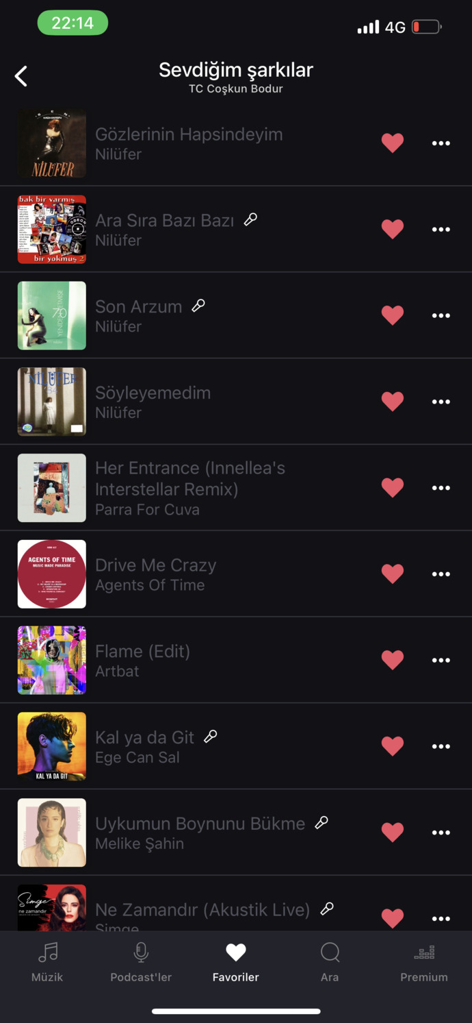 Araba için playlist hazırlıyorum, çorbada herkesin bir tuzu olsun?