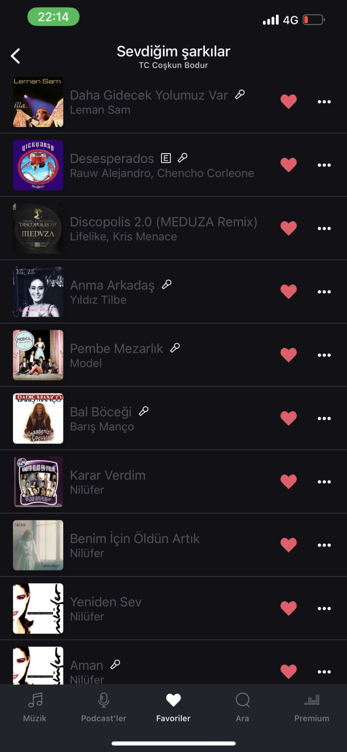 Araba için playlist hazırlıyorum, çorbada herkesin bir tuzu olsun?