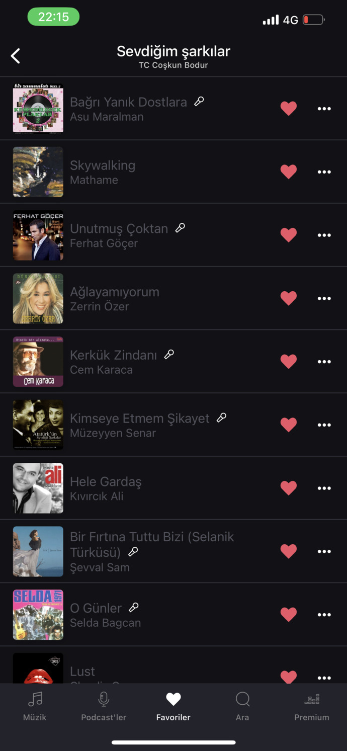 Araba için playlist hazırlıyorum, çorbada herkesin bir tuzu olsun?