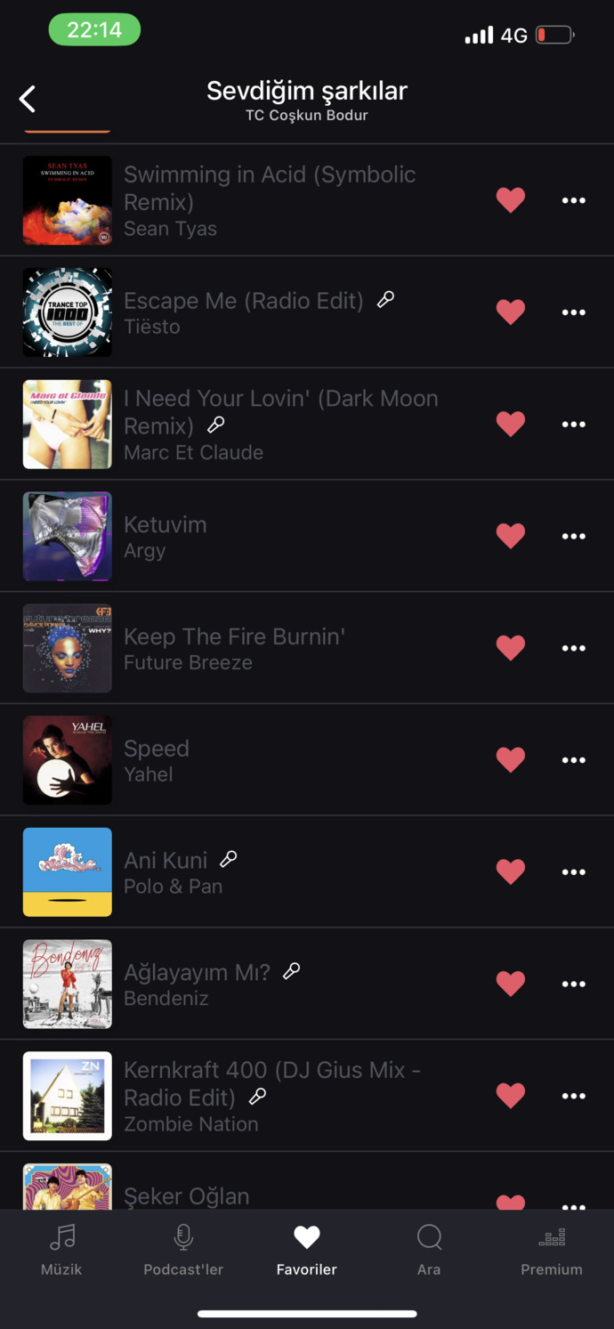 Araba için playlist hazırlıyorum, çorbada herkesin bir tuzu olsun?