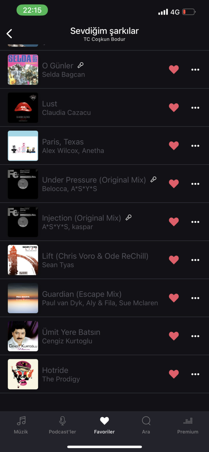 Araba için playlist hazırlıyorum, çorbada herkesin bir tuzu olsun?