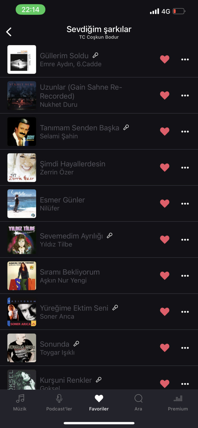 Araba için playlist hazırlıyorum, çorbada herkesin bir tuzu olsun?