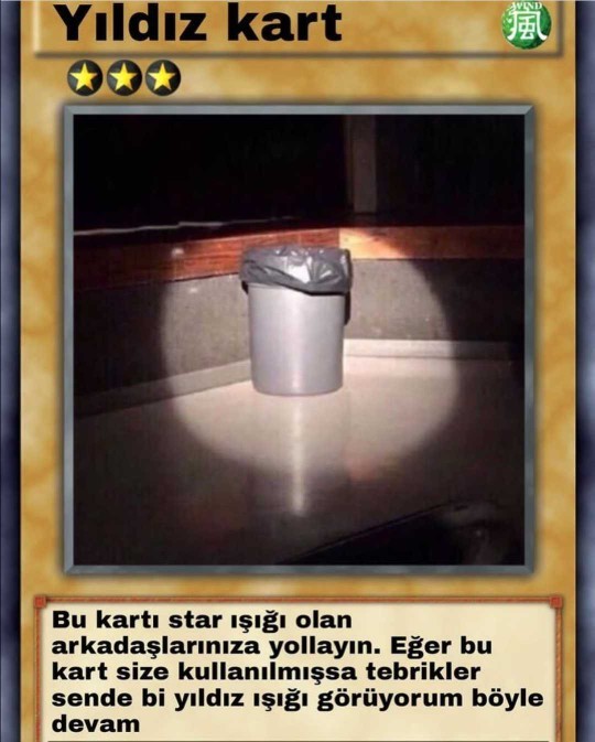 Galerindeki son fotoğraf ne?