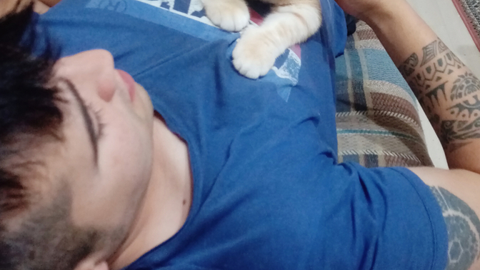 Kediler çok sevimli değil mi?