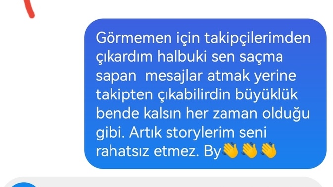 Dm'inizdeki terbiyesiz tiplere tepkiniz ne?