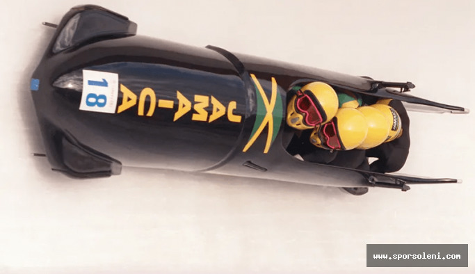 Bobsleigh Sporu yapar mıydınız?