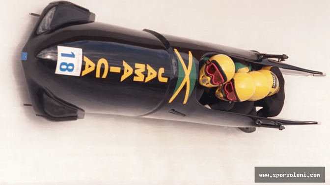 Bobsleigh Sporu yapar mıydınız?