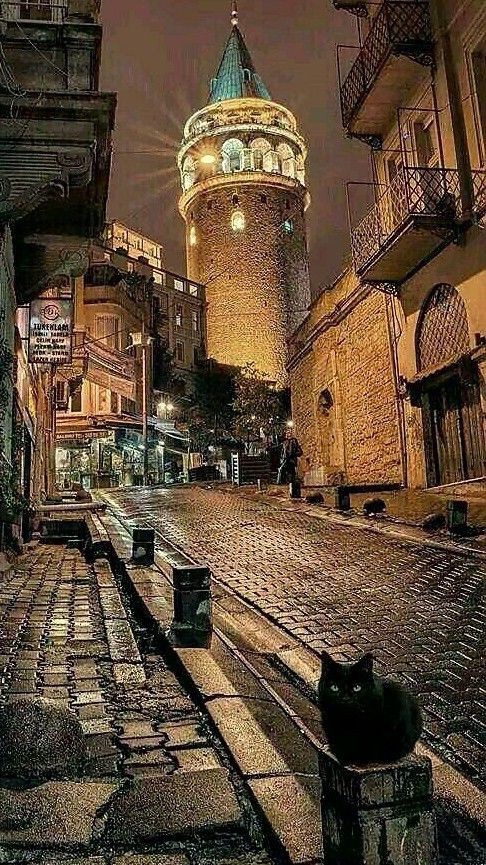 Bir Duvari Manzara Yapsan Hangi Manzarayi Tercih Ederdin?