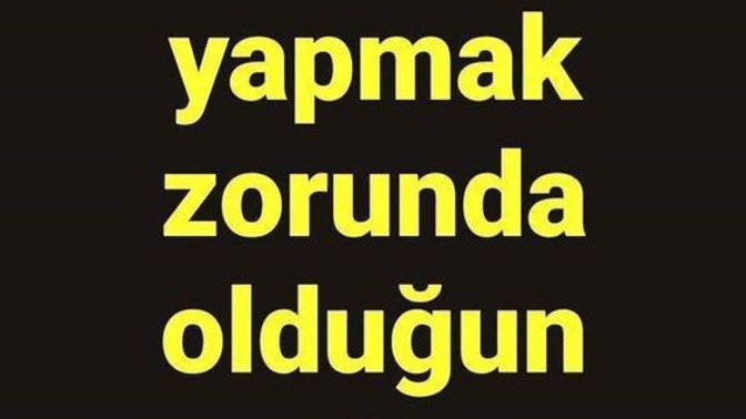 Sevmediginiz Ama Yapmak Zorunda Oldugunuz Şey Nedir?