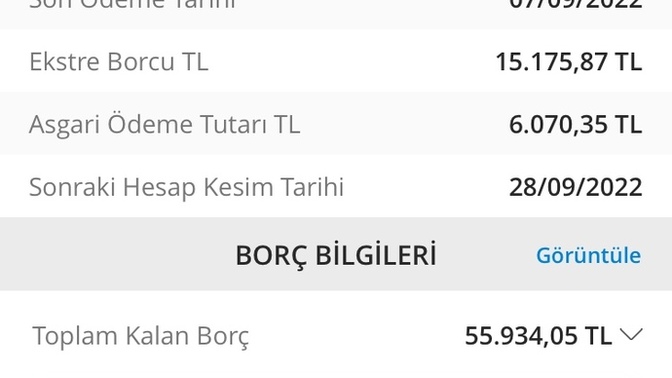 Ne kadar borcunuz var?