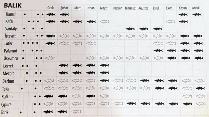 🐟 Hangi balık, ne zaman ve nasıl yenir?