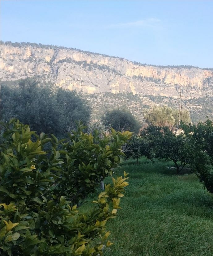 Şu an neredesiniz ve nerede olmak isterdiniz? Ruhunuz ne istiyor?