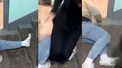 Abıska Türkleri Spvyet ve Türk bayraklarıyla Ukrayna'da nazi ve NATO tepelemeye gitmesi bizde kşmleri kudurtuyor dersiniz?