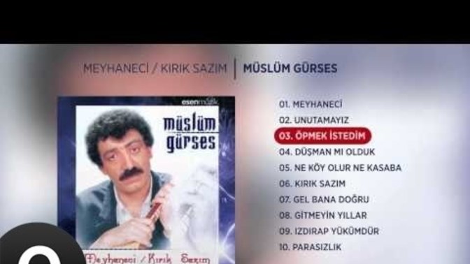 Bazi sözler muziklerde sizi alır götürür mü?