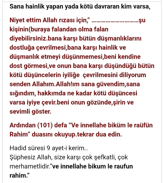 Benim hayatıma karışılmasından nefret ediyorum cünkü?