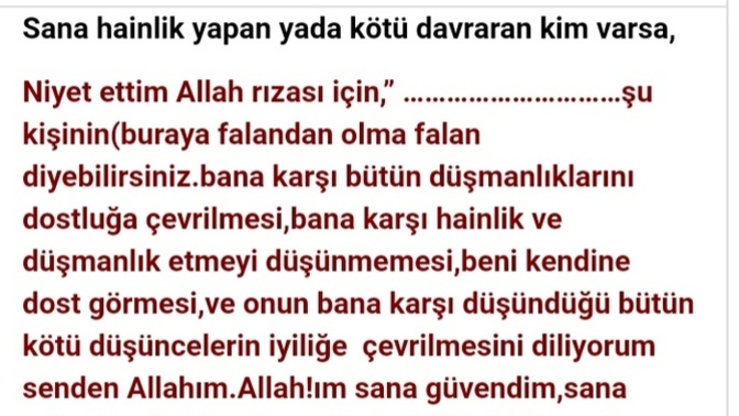 Benim hayatıma karışılmasından nefret ediyorum cünkü?