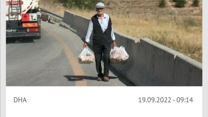 Sokak hayvanlarına en son ne zaman yemek götürdün?
