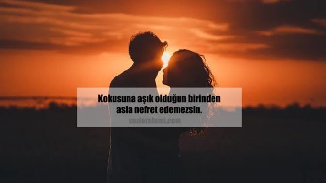 Sadece resmini gördüğünüz birine aşık oldunuz mu?