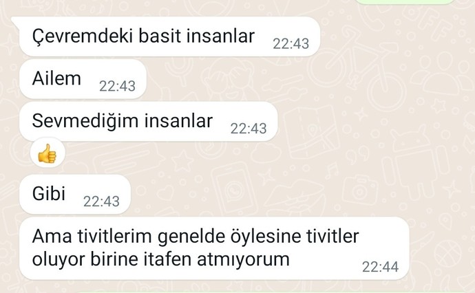 Sevgilim birlikteyken böyle twitler atıyor?