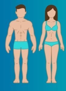 Kadın ve erkeklerde bulunan vücuttaki en nemli organ nedir?