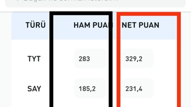 "HAM PUAN" ve "NET PUAN" ne demek?