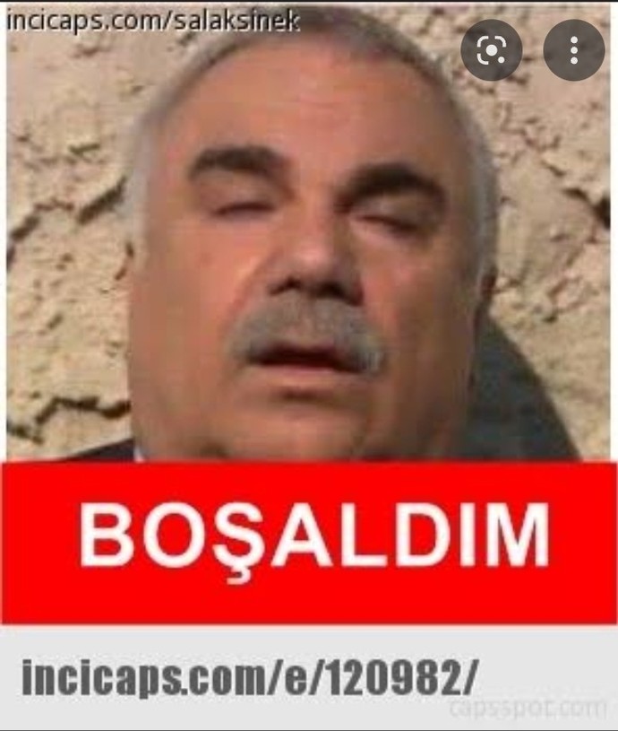 Yaprak Dökümü Ali Rıza Bey'in burcu ne olabilir?