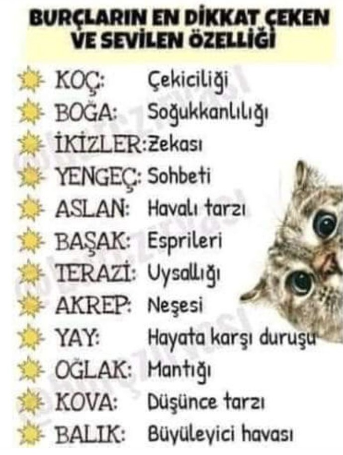 Sizin burcunuzun en dikkat çeken ve sevilen özelliği neymiş 👹?