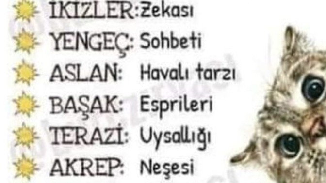 Sizin burcunuzun en dikkat çeken ve sevilen özelliği neymiş 👹?