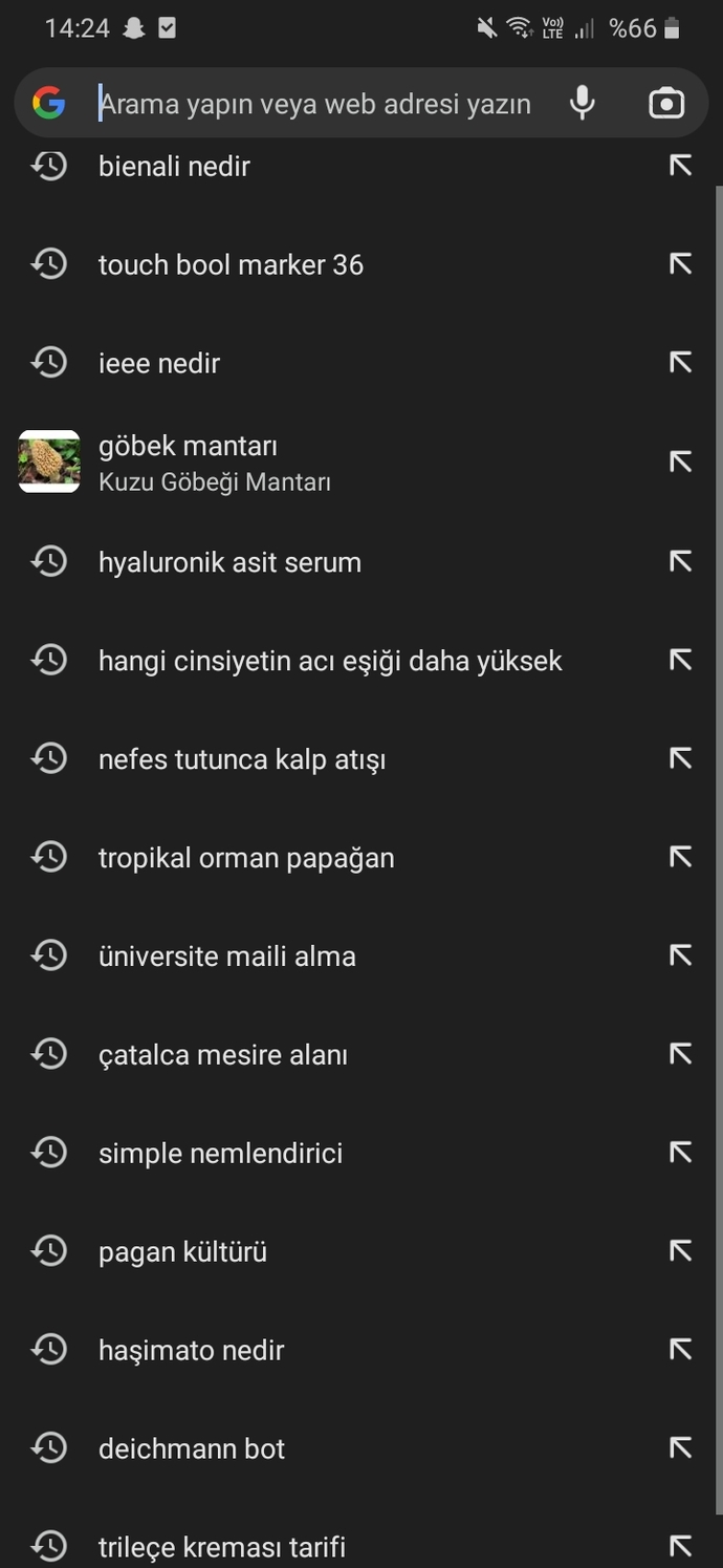 Google arama geçmişiniz nasıl?