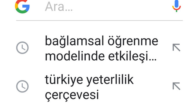 Google arama geçmişiniz nasıl?