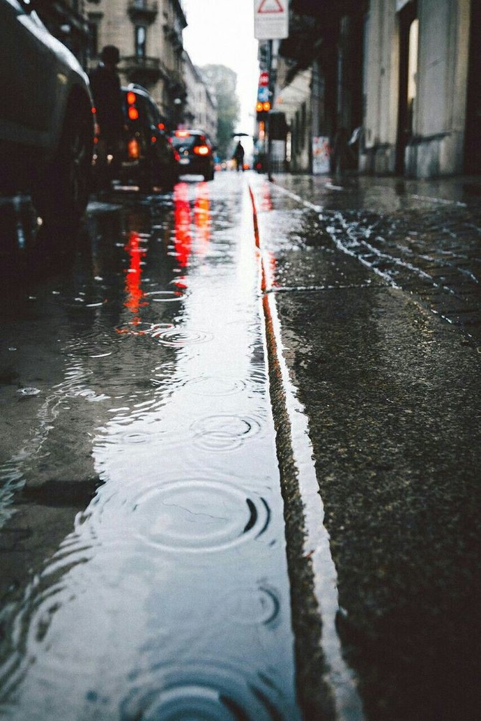 Yağmur Kokusu