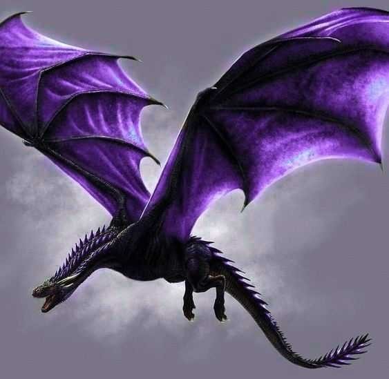 Hangi  🐉  Ejderha sizi tanımlıyor ?