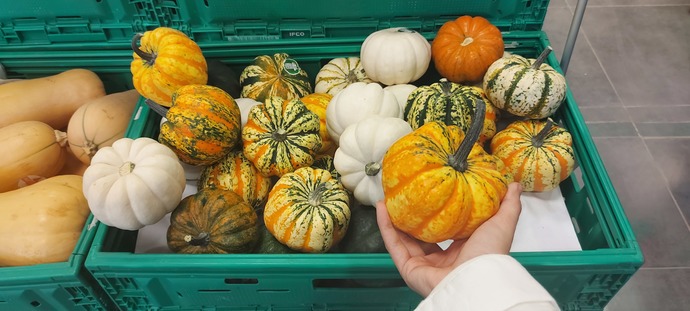 Size bu tatlı kabaklardan hangisini vereyim🍊?