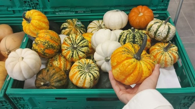 Size bu tatlı kabaklardan hangisini vereyim🍊?