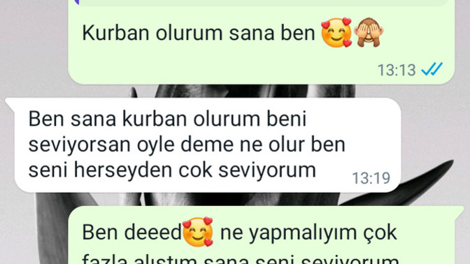 Bu konuşmalara bakarsanız gerçek aşkı/sevgiyi bulmuş muyumdur?