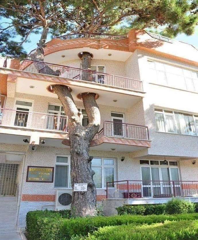 Evinizde dekorasyona önem verir misin?