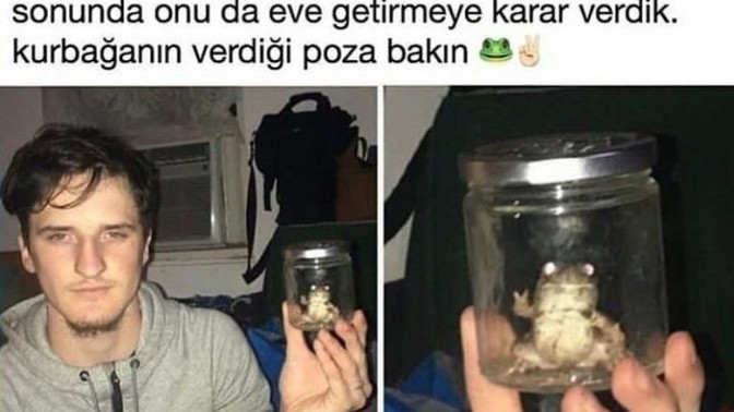 Şu anda telefonunuzda olan en iyi ekran görüntüsü nedir?