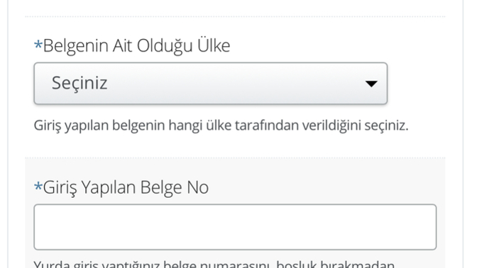 E-Devlet üzerinden yurtdışı cihazının kaydını nasıl uzatabilirim?