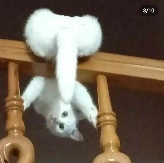 Penis büyüklüğü cinselikte performansı etkiler mi?