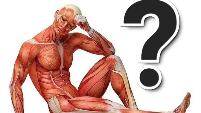 (başlık çok kısaymış) Sen kimsin?