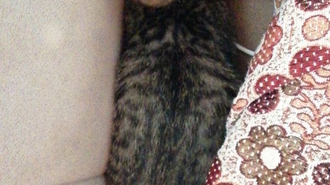 Sabah eve gelen gözleri ihtihaplı olan misafirim çok tatlı değil mi?