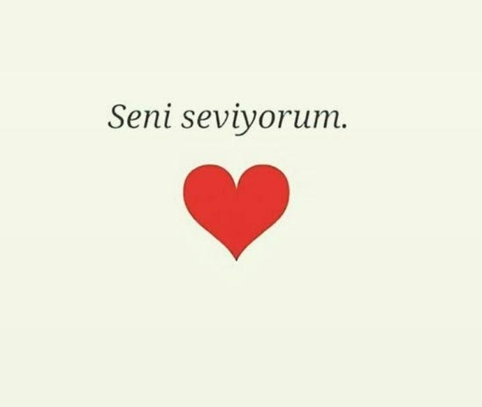 Sevdigin kişiye hangi Şarkıyla ilanı aşk yapmak istersin?
