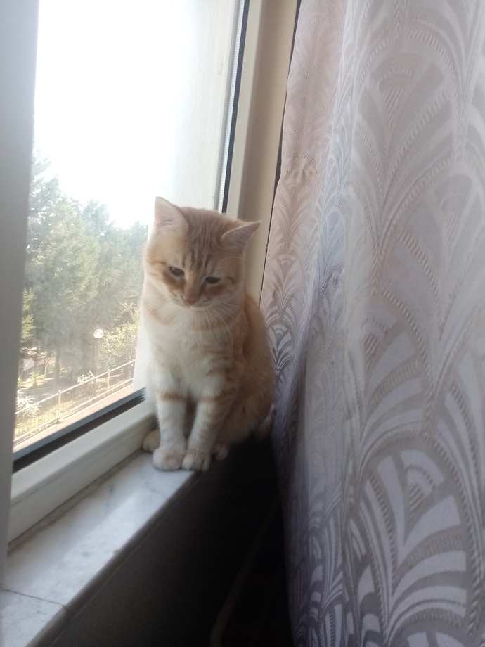 Hayvanlar çok fotojenik değil mi?