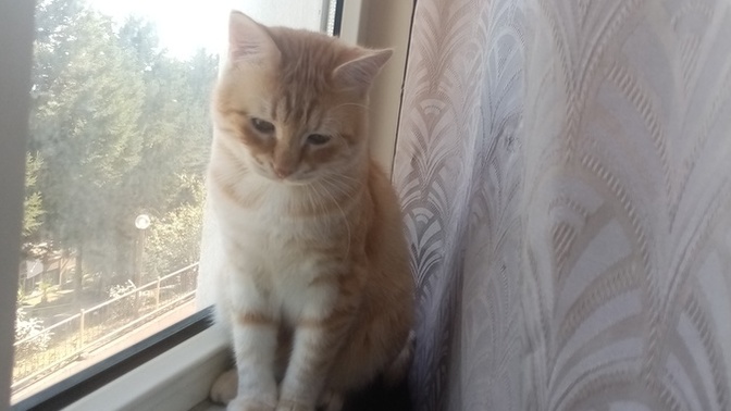 Hayvanlar çok fotojenik değil mi?